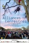 Alliances_Terrestres.jpg